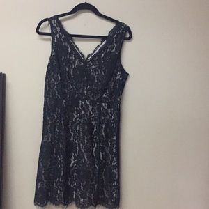 Loft Cocktail Lace Dress 8P
